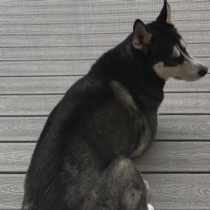 Meet your Posher, Aleks